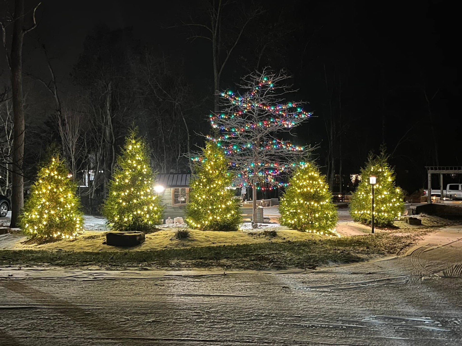 Second Holiday Lighting Banner Image