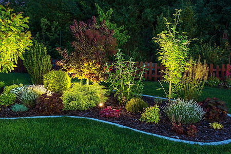 How Landscape Lighting Transforms Your Backyard for Summer Nights
