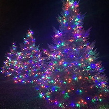 Holiday lighting providers
