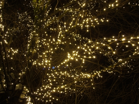 Permanent Holiday Lighting